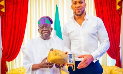 Tinubu Speaks With Joshua, Mother, Others After Ogun Auto Crash