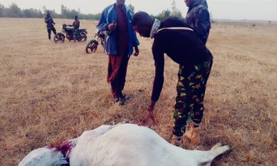 Attacks On Herdsmen Revive Reprisal Fears In Plateau