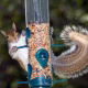 The RSPB’s Big Garden Birdwatch is about to start. But how safe is your bird feeder?