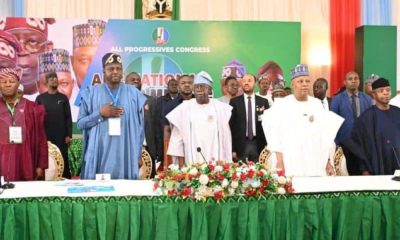 Drama as old National Anthem ‘accidentally’ played during APC meeting at villa