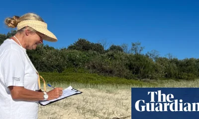 Call for citizen scientists to monitor threatened turtle species on NSW beaches | New South Wales