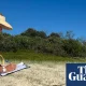 Call for citizen scientists to monitor threatened turtle species on NSW beaches | New South Wales