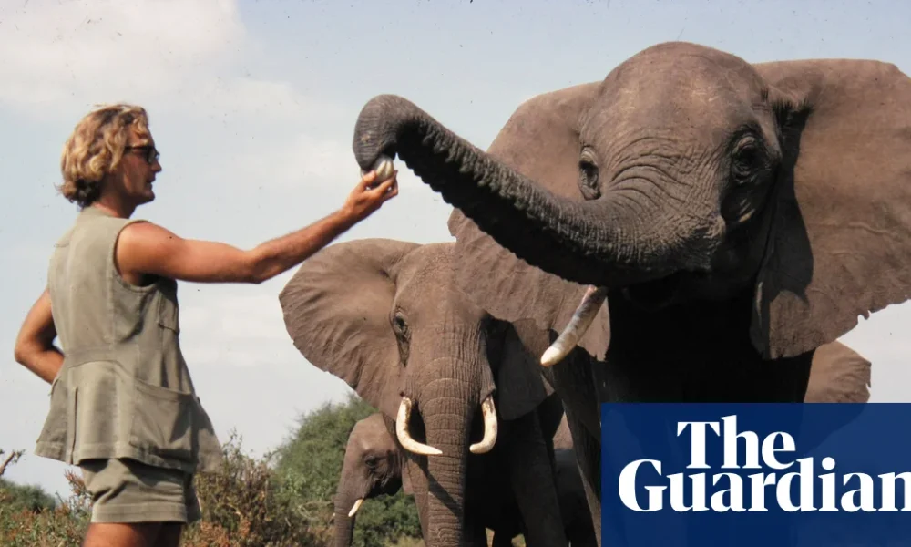 Iain Douglas-Hamilton obituary | Zoology