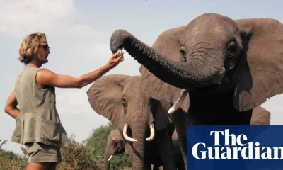 Iain Douglas-Hamilton obituary | Zoology