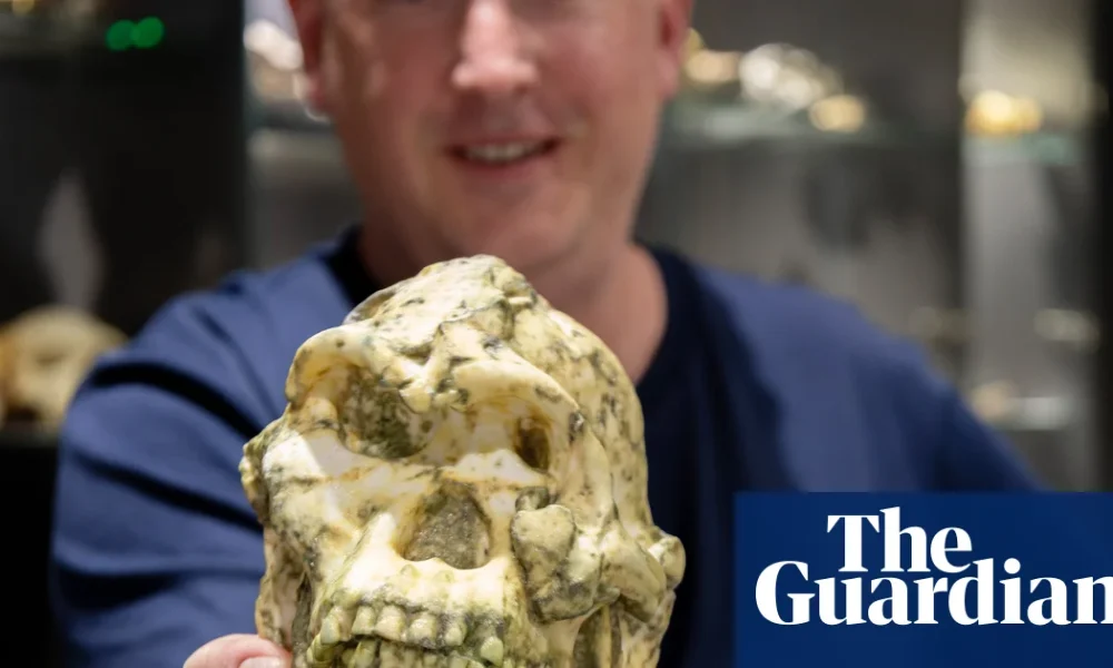 Little Foot hominin fossil may be new species of human ancestor | Evolution