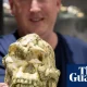 Little Foot hominin fossil may be new species of human ancestor | Evolution