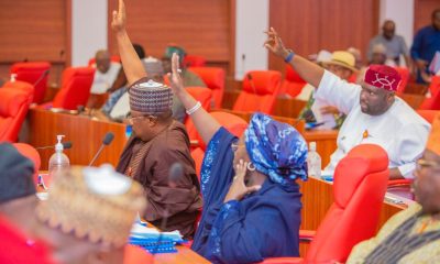 Senate drops motion urging Wike to halt land revocations, reallocations in Abuja