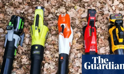 The best cordless leaf blowers in the US to cut down time without bothering neighbors | Life and style
