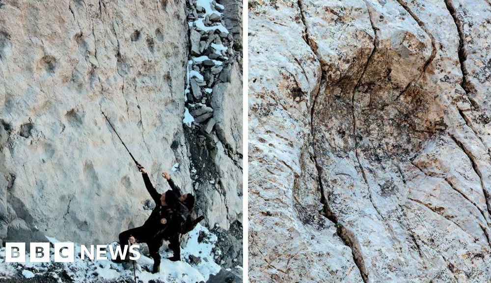 Thousands of dinosaur footprints found on Italian mountain