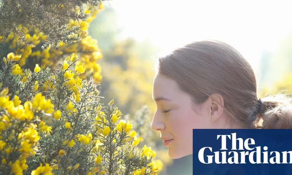 Nosy researcher’s quest to map the world’s ‘smellscapes’ | Science