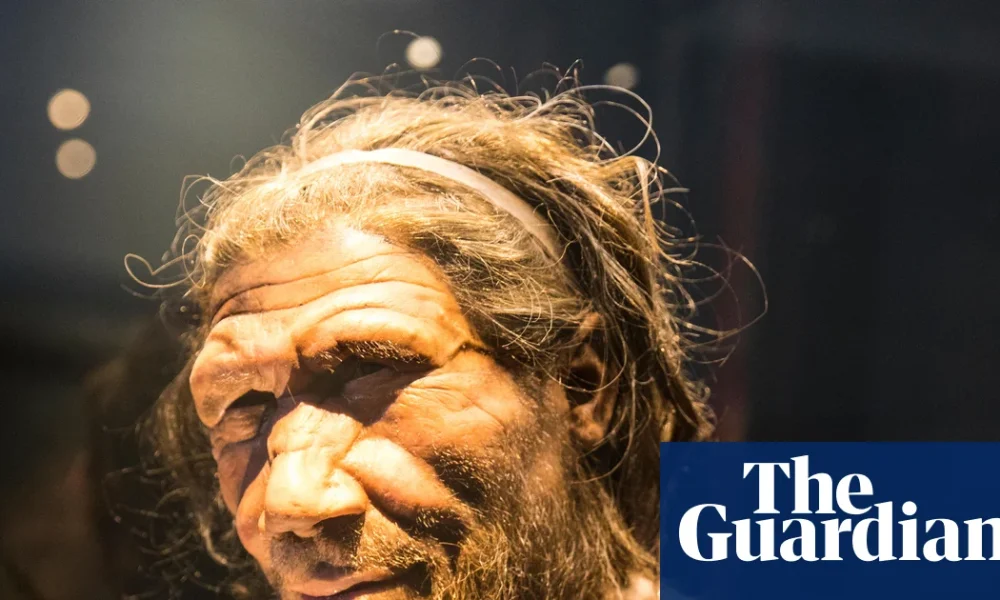 Endoscopy finds Neanderthal noses not as adapted to the cold as expected | Environment