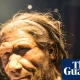 Endoscopy finds Neanderthal noses not as adapted to the cold as expected | Environment