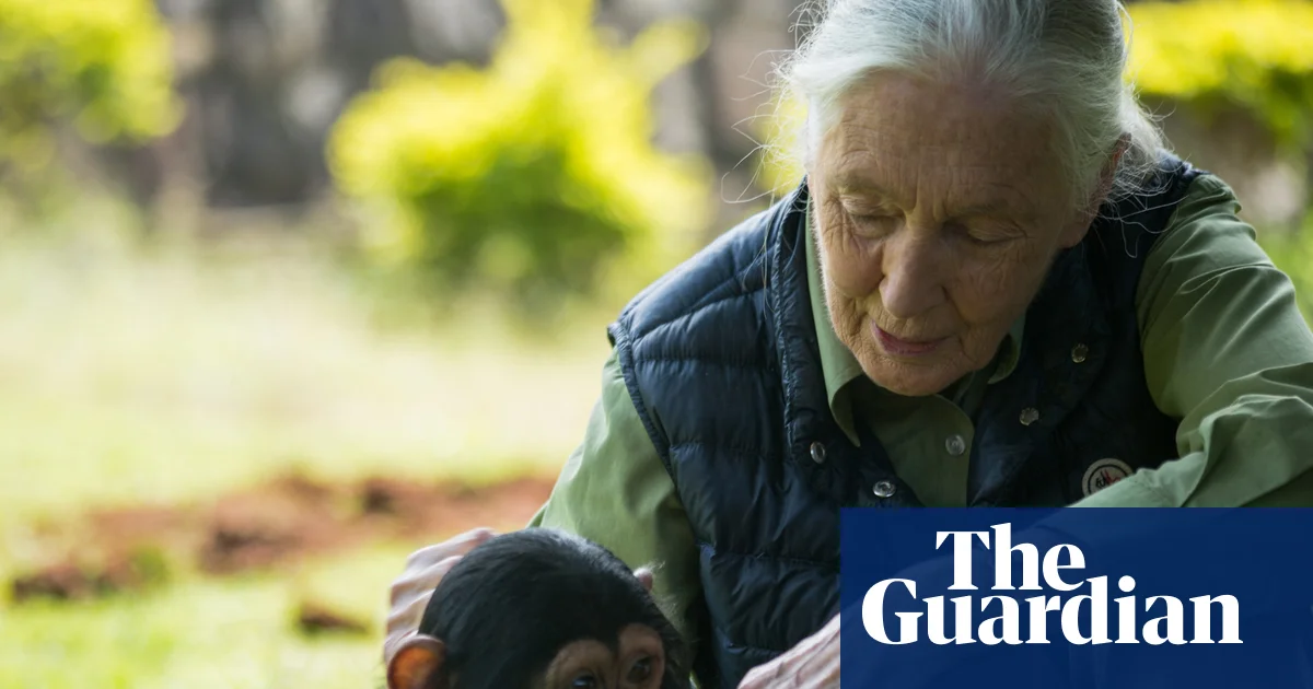 Jane Goodall Earth medal to recognise people working to improve the world | Jane Goodall