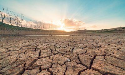 Enough fresh water is lost from continents each year to meet the needs of 280 million people. Here’s how we can combat that.