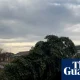 Two men arrested after Christmas tree in Durham village chopped down | UK news