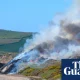Ten English fire services tackled record number of grass, forest and crop fires in 2025 | Wildfires
