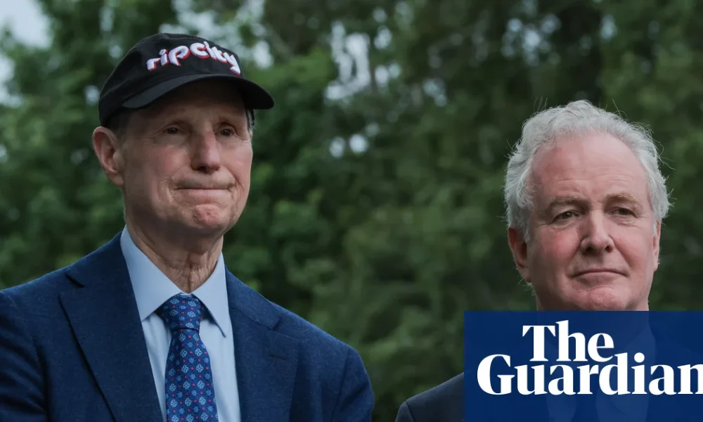 Top Democrats call for investigation into share-buying spree by Trump allies | US Congress