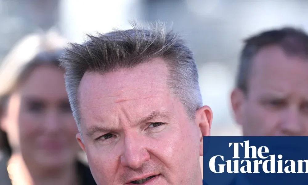 Home batteries subsidy overhauled with .2bn injection as Australians rush to take up discount | Renewable energy