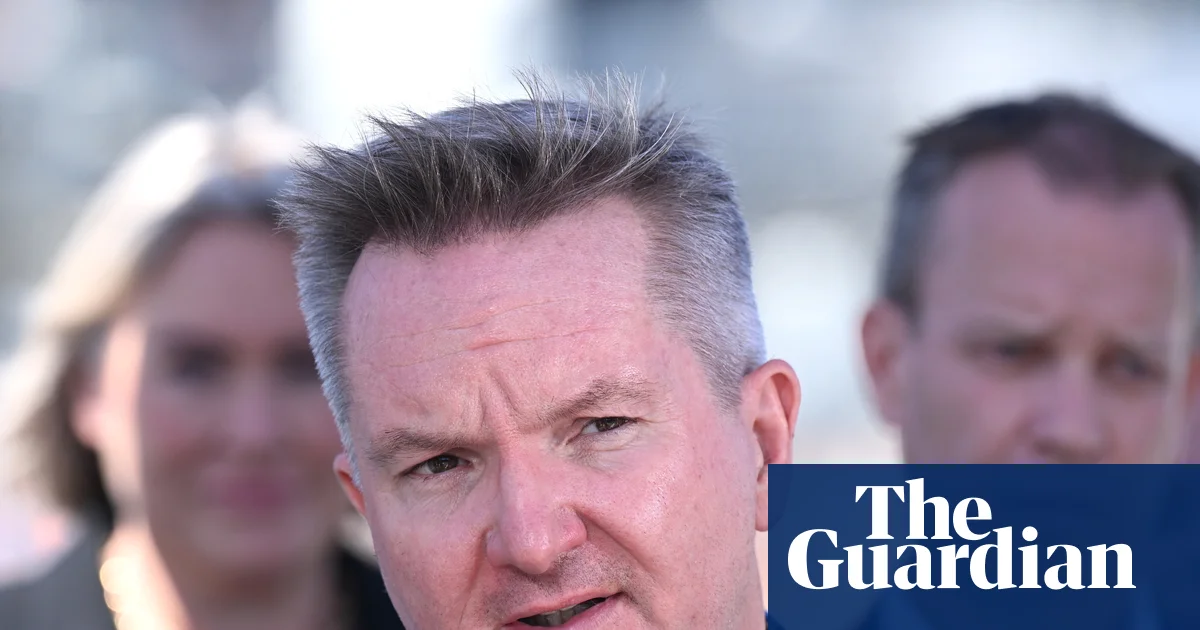 Home batteries subsidy overhauled with .2bn injection as Australians rush to take up discount | Renewable energy