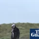 Storm Bram to bring strong winds and heavy rain to UK | UK weather