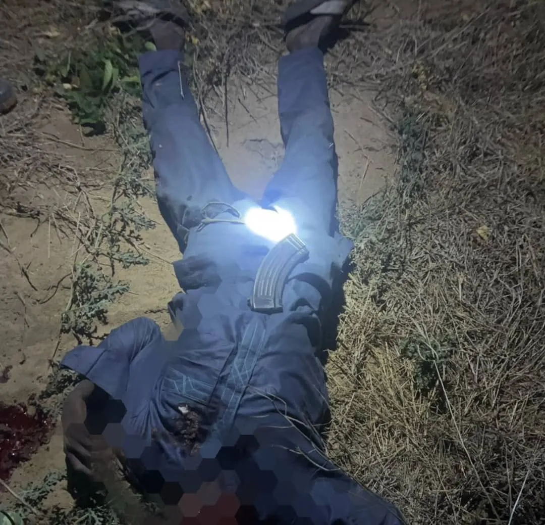 Troops Kill Two Terrorists, Recover Weapons in Borno Ambush — Akelicious