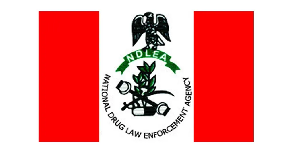 After Weeks on the Run, NDLEA Nabs Gamboli, Bandits’ Drug Supplier — Akelicious