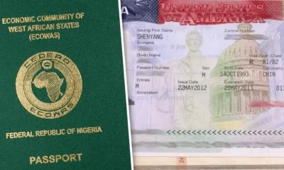 U.S Expands Travel Restrictions, Suspends Green Card and Citizenship Applications for Nigerians — Akelicious