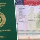 U.S Expands Travel Restrictions, Suspends Green Card and Citizenship Applications for Nigerians — Akelicious
