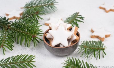 Why scents spark emotions and memories – DW – 12/21/2025