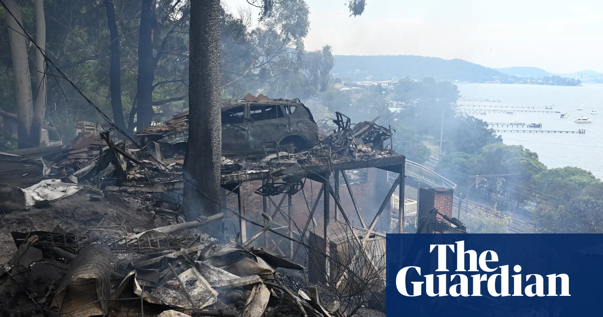 NSW fires: arson squad investigating whether bushfire that destroyed 16 homes was deliberately lit | Bushfires