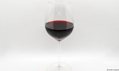 Women get drunk faster than men due to biology not tolerance – DW – 12/22/2025