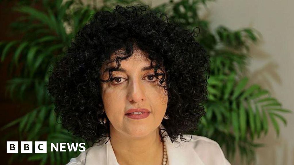 Nobel laureate Narges Mohammadi arrested in Iran, supporters say