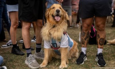 Argentina’s ‘good old boys’ break world record – DW – 12/09/2025