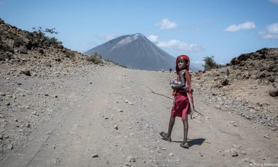 New game reserves set to reshape rural life in Tanzania – DW – 12/29/2025