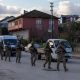 Turkey detains 357 suspects after ‘Islamic State’ clashes – DW – 12/30/2025
