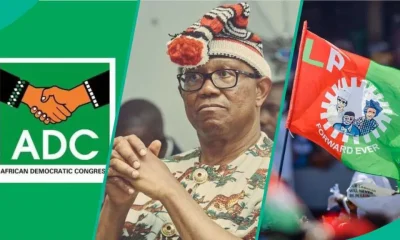 Peter Obi and the ADC: Is the honeymoon already over?