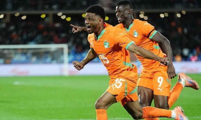 Indomitable Lions Roar Back to Hold Cup Holders Elephants – THISDAYLIVE