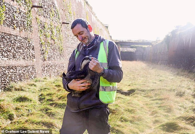 I’d never spoken to my quiet author neighbour for two years until we had a pleasant chat about badgers. Two weeks later she set fire to my Land Rover Freelander