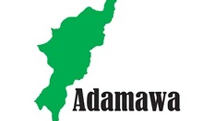 Adamawa to Launch Immunisation Drive to Boost Healthcare – THISDAYLIVE