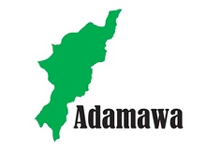 Adamawa to Launch Immunisation Drive to Boost Healthcare – THISDAYLIVE