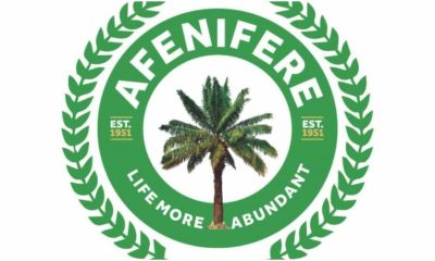 Suspend 2026 Tax Reform – Afenifere Tells Tinubu Govt, Calls For National Economic Audit