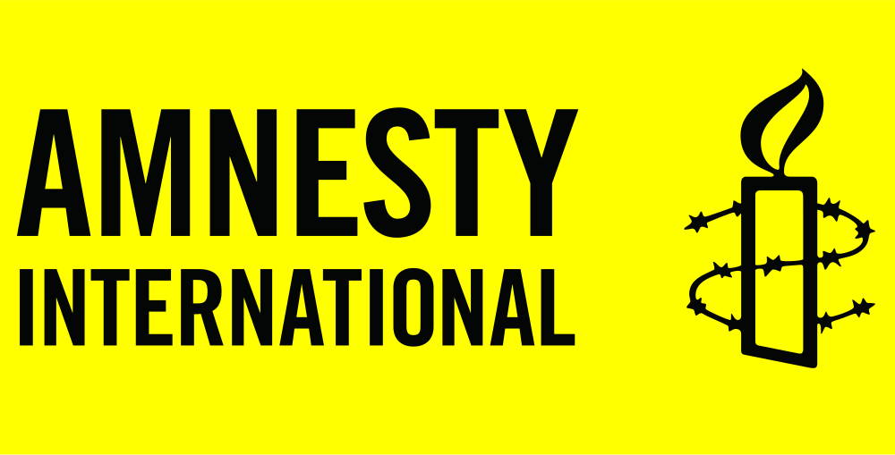 Amnesty International raises alarm over threats to activists