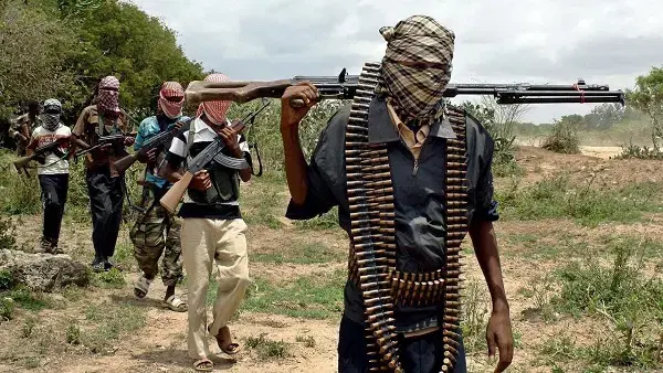 FG officially designates kidnappers, bandits as terrorists