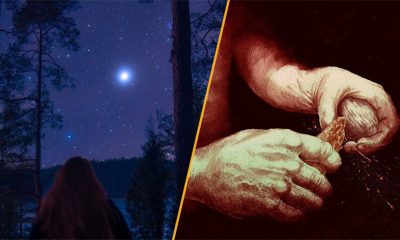 Science news this week: Neanderthals made fire, orcas and dolphins team up, and the ‘Star of Bethlehem’ explored