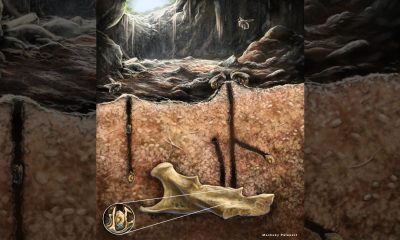 Ancient burrowing bees made their nests in the tooth cavities and vertebrae of dead rodents, scientists discover