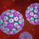 Widespread cold virus you’ve never heard of may play key role in bladder cancer