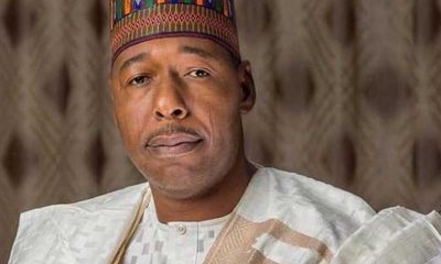 Tinubu Lauds Borno Gov for Outstanding People-Oriented Projects – THISDAYLIVE