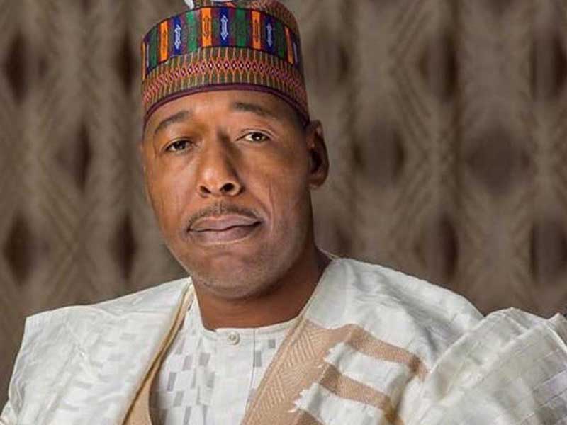 Tinubu Lauds Borno Gov for Outstanding People-Oriented Projects – THISDAYLIVE