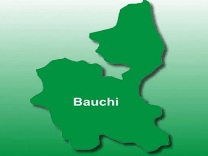 WHO PICKS BAUCHI APC GUBER TICKET? – THISDAYLIVE