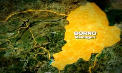 Boko Haram abducts two councillors, vice chairman, others in Borno